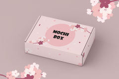 Mochi-Box-Design-1